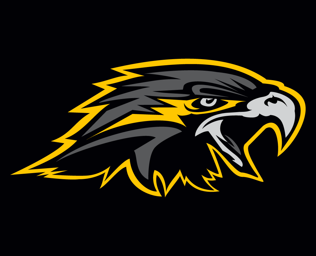 Wichita Falls Nighthawks 2015-Pres Secondary Logo iron on transfers for T-shirts